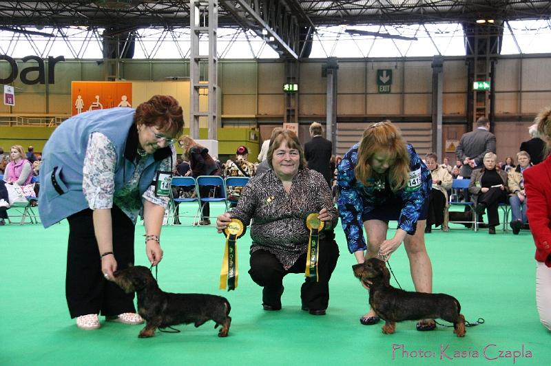 Crufts2011_2 958.jpg